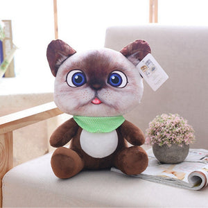 Stuffed Cat toy