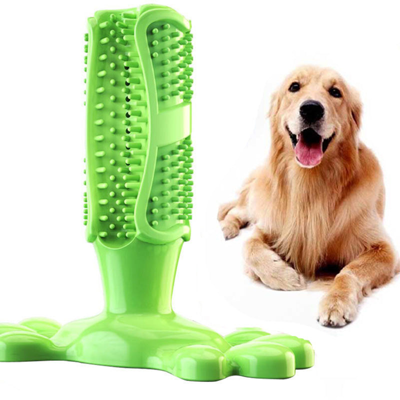 Dog Toothbrush Chew Toy