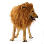 Lion Wig For Dog