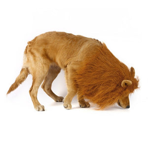 Lion Wig For Dog