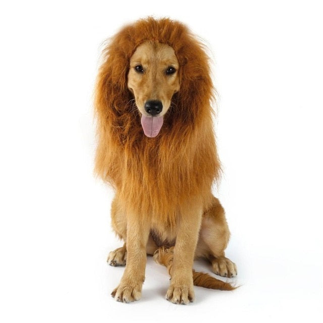 Lion Wig For Dog