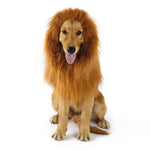 Lion Wig For Dog