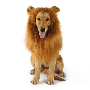 Lion Wig For Dog