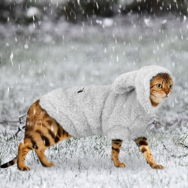 Warm Winter Hoodie For Cats